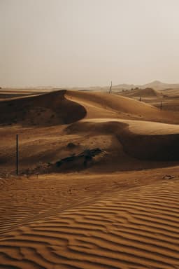 Experience 10 in Camel Riding 